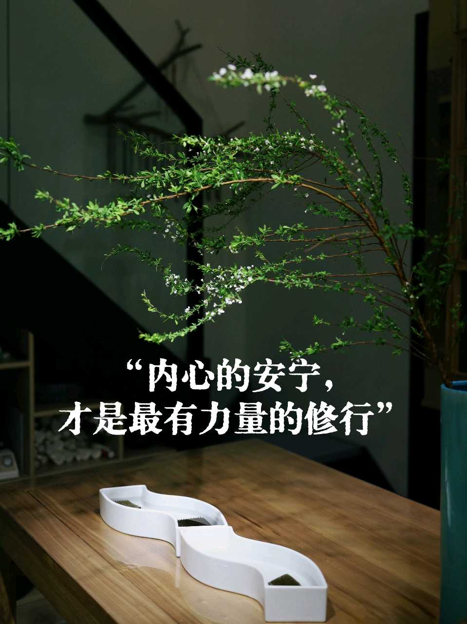 玉华《心有自安，不必借光》