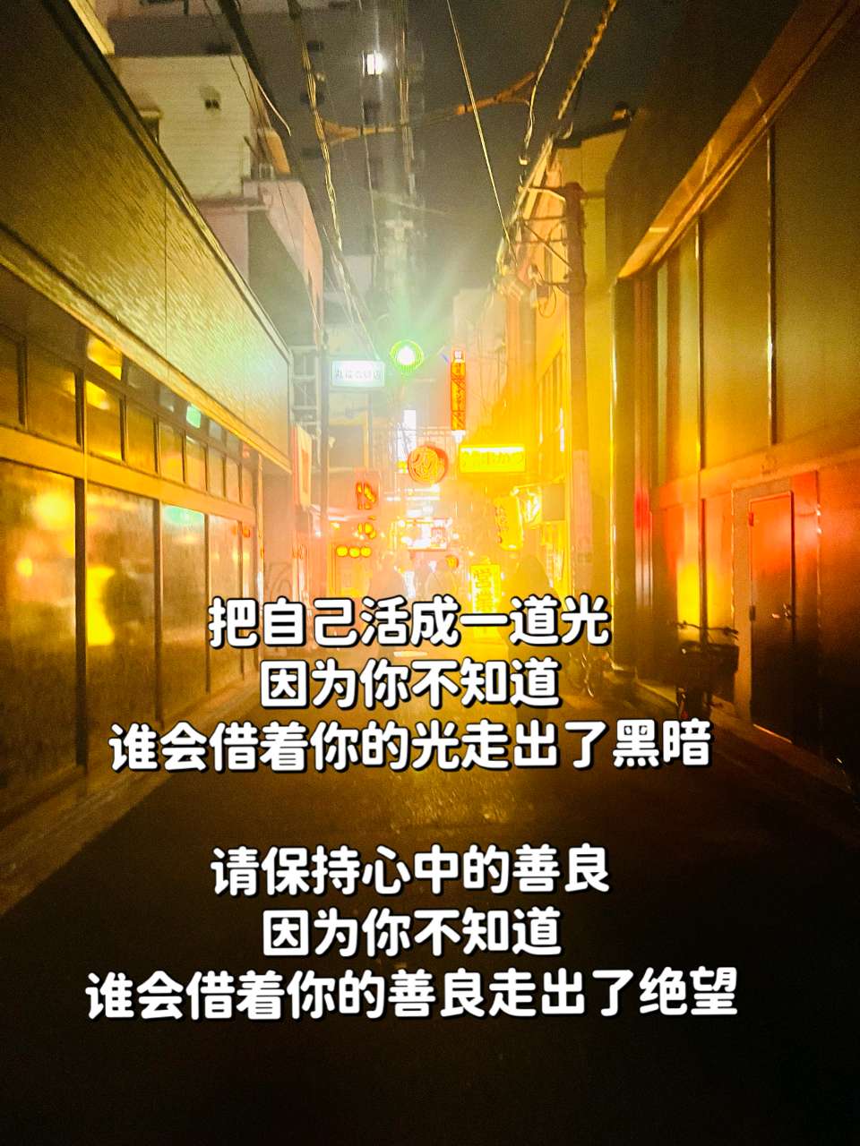 玉华《心有自安,不必借光》(图3)