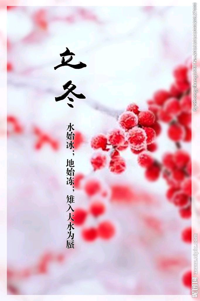【荣耀中国】文学社*张国瑾诗词欣赏（图6）