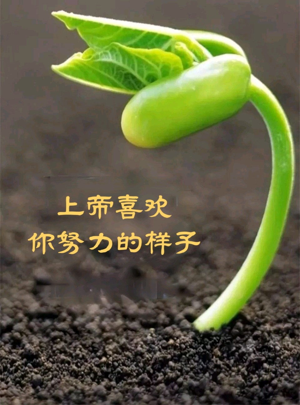 读书三境界‖文/杨修志（图2）