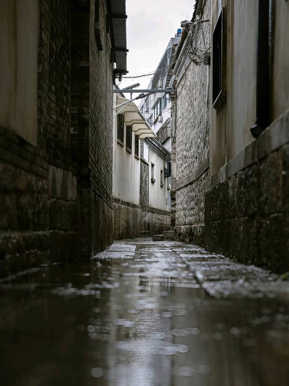 一泓曲水,一卷泉城(图3)