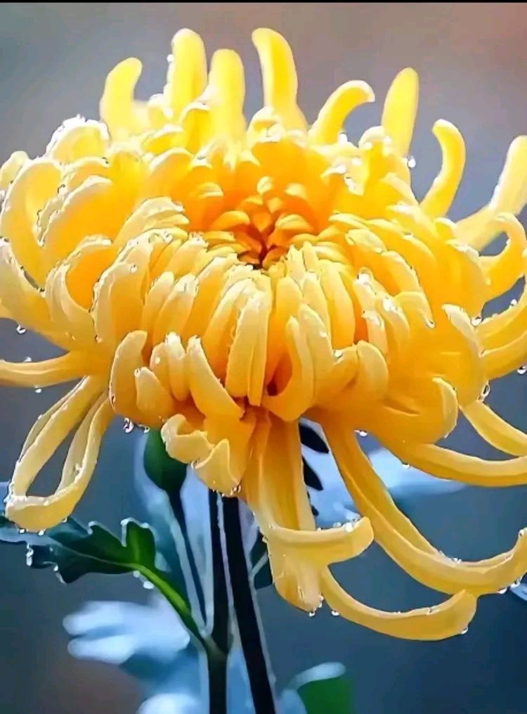 【蓝星诗苑专辑】蓝星公益诗苑直属学院第六届六分校（二届）第二十五期【楹联】专辑九（图34）