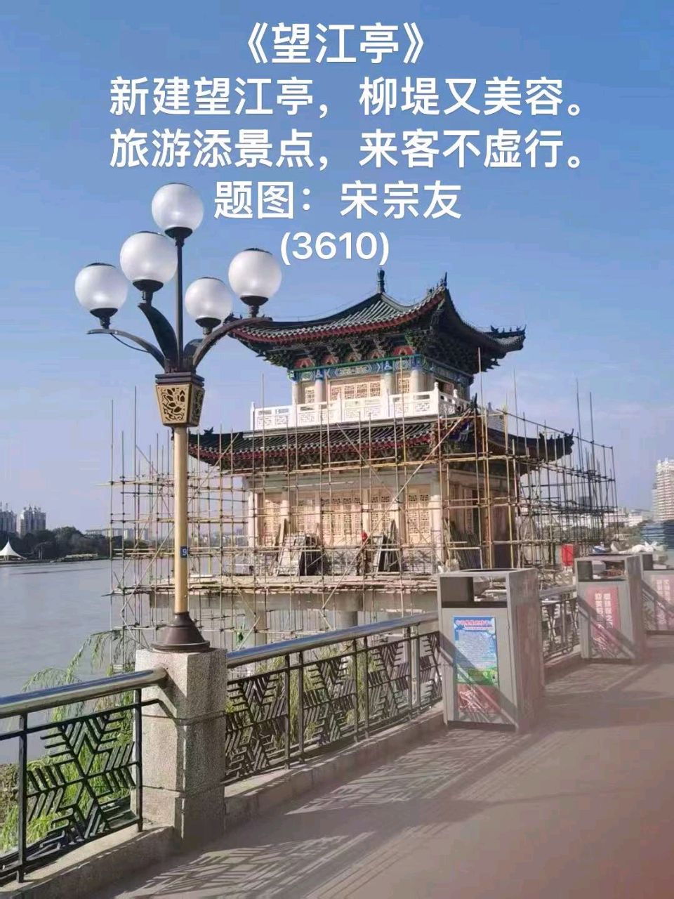 题图诗连载3636《长白参》作者宋宗友（吉林）编辑孙秀兰20261031（图8）