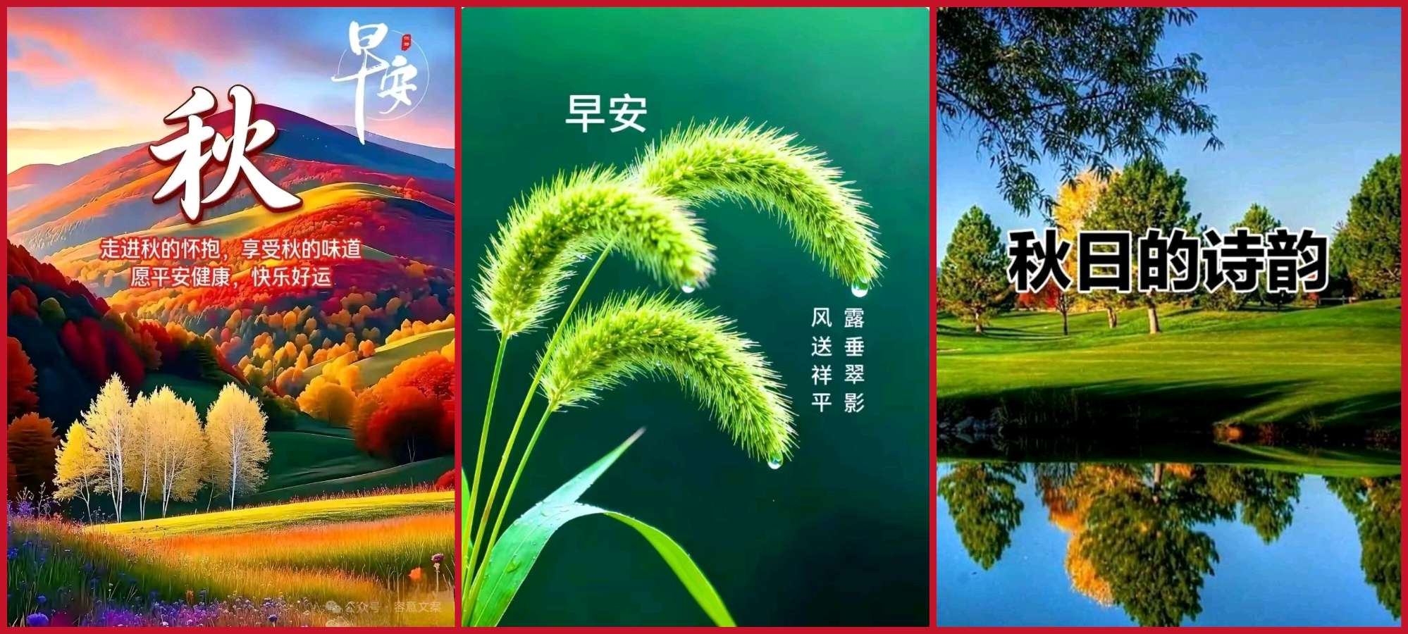 【重磅推出 秋韵抒怀】鲁坡//七律•归乡访旧+[励志名言警句]系列作品展（图10）