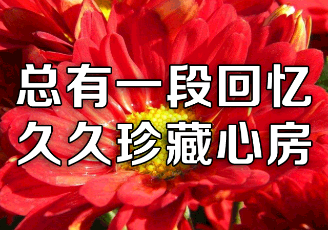 中原精英诗社第142期“暮秋”同题专刊(图24)