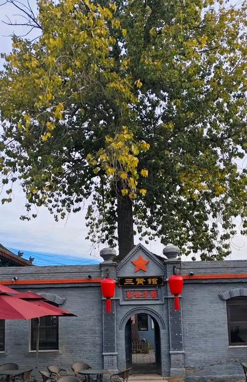 探访毛家大院（图5）