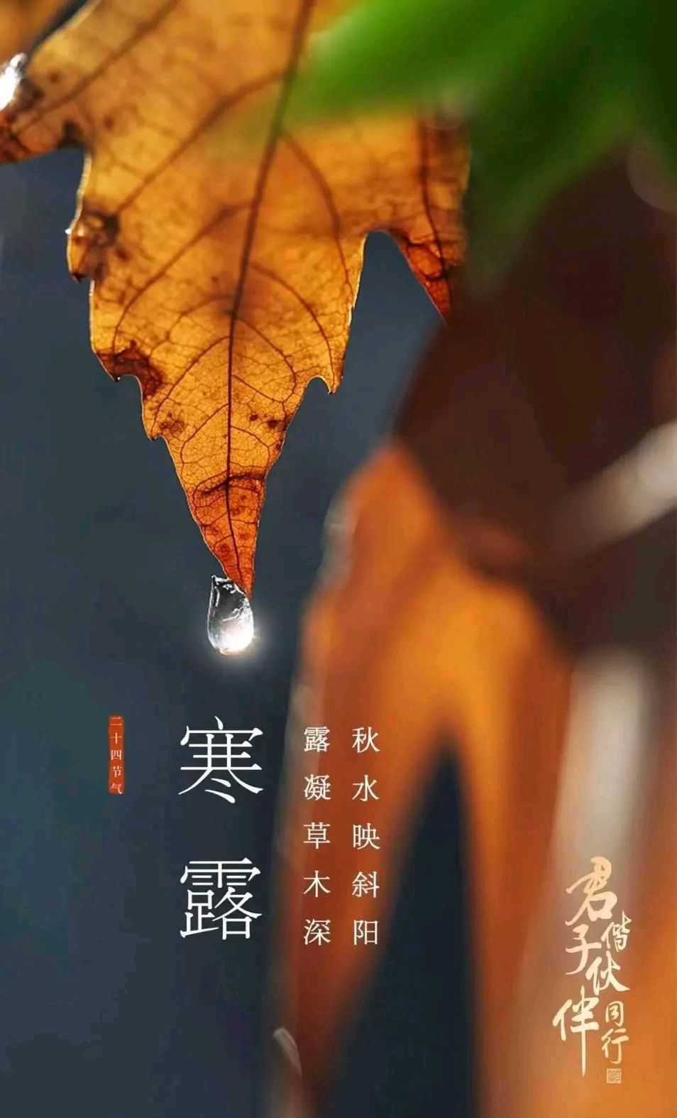 （原创）《阮郎归 • 寒露吟》（李煜体）（外二阙）文/梁正明（重庆）（图4）