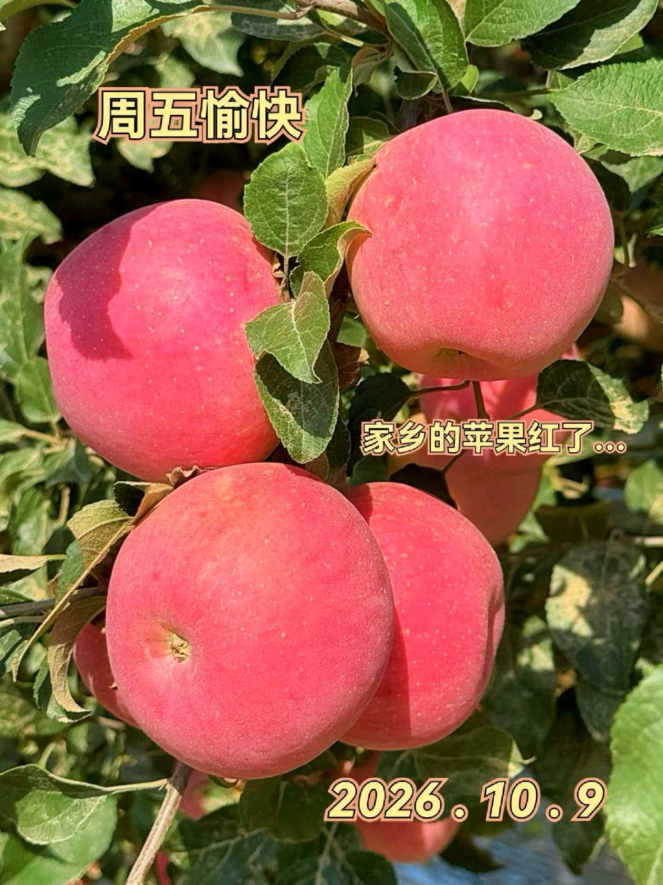 【都市头条成都文苑编辑部】主编周原翁;诗文作者温泉山.何俊锋.秦牛.屈军强.王兵.高金秀.（图23）