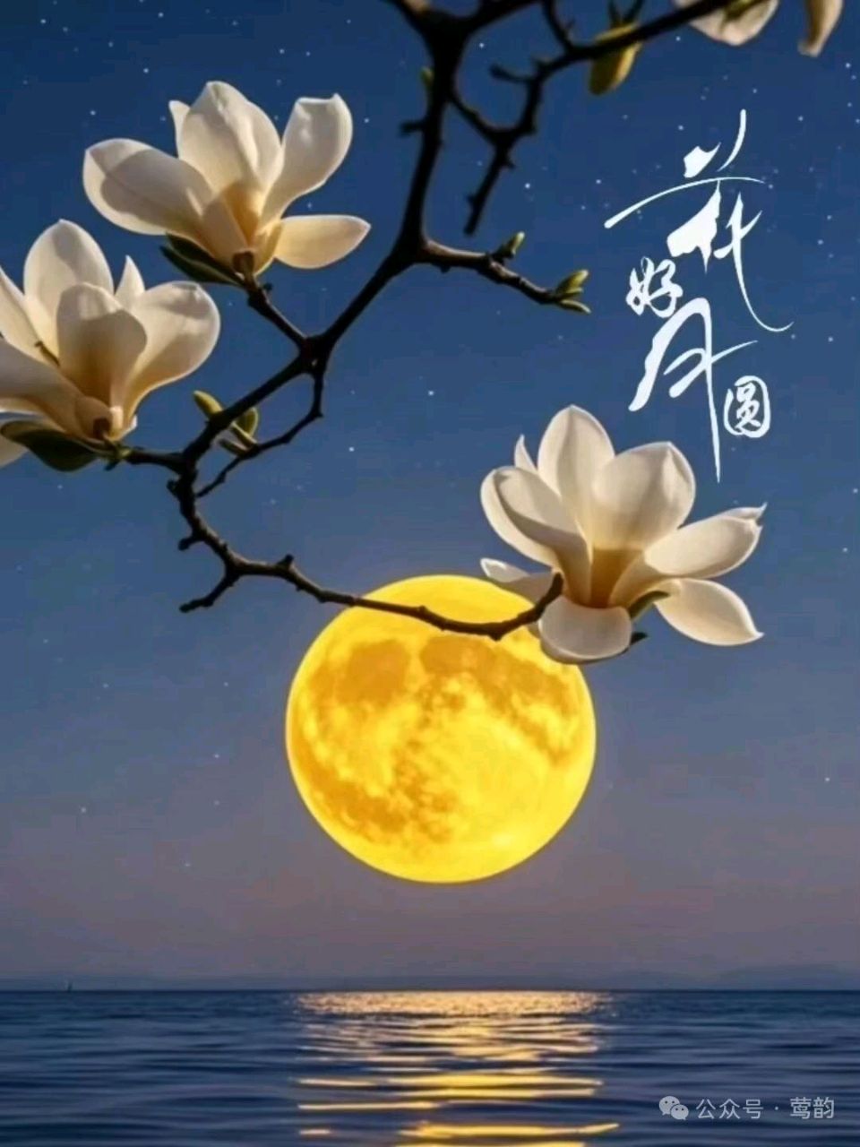 【中国诗人】文坛*深秋夜作者/杨少伦 广元（图4）