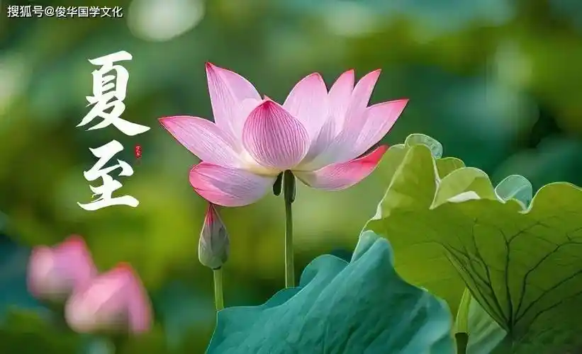 《中华好诗词》隆重推出(宁夏银川)著名诗人郭佑先生(第4)期)《夏满芒夏暑相连》填词六阕敬请雅赏(图7)