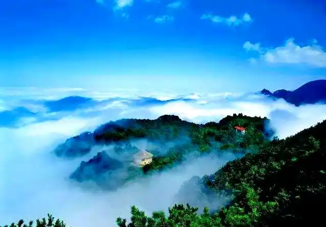 当代作家·杨修志《咏中国十大名茶之四----庐山云雾茶诗词三首》北京头条068期（图4）
