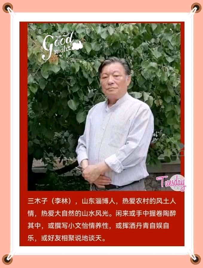 【荣耀中国】文学社*短诗二首望雁·微明（现代诗）文/三木子