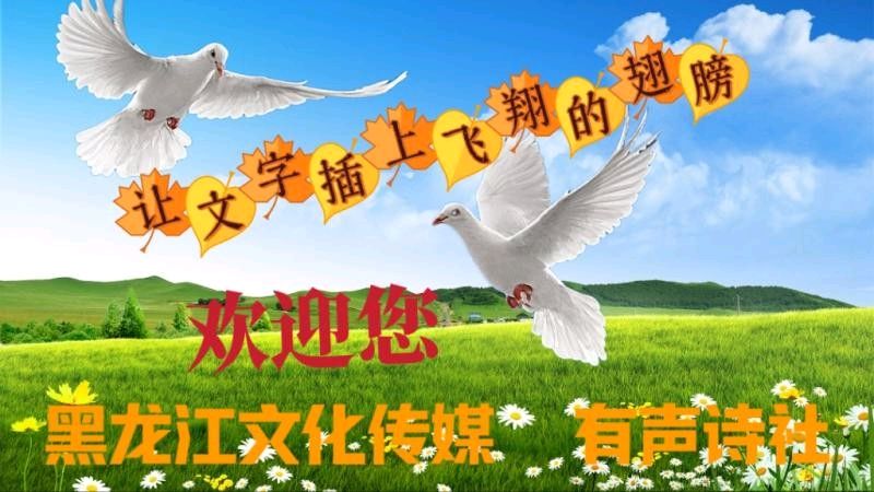 请欣赏【黑龙江文学总社有声平台】编辑/主播：碧荷朗诵《露营感言》作者：笑谈人生