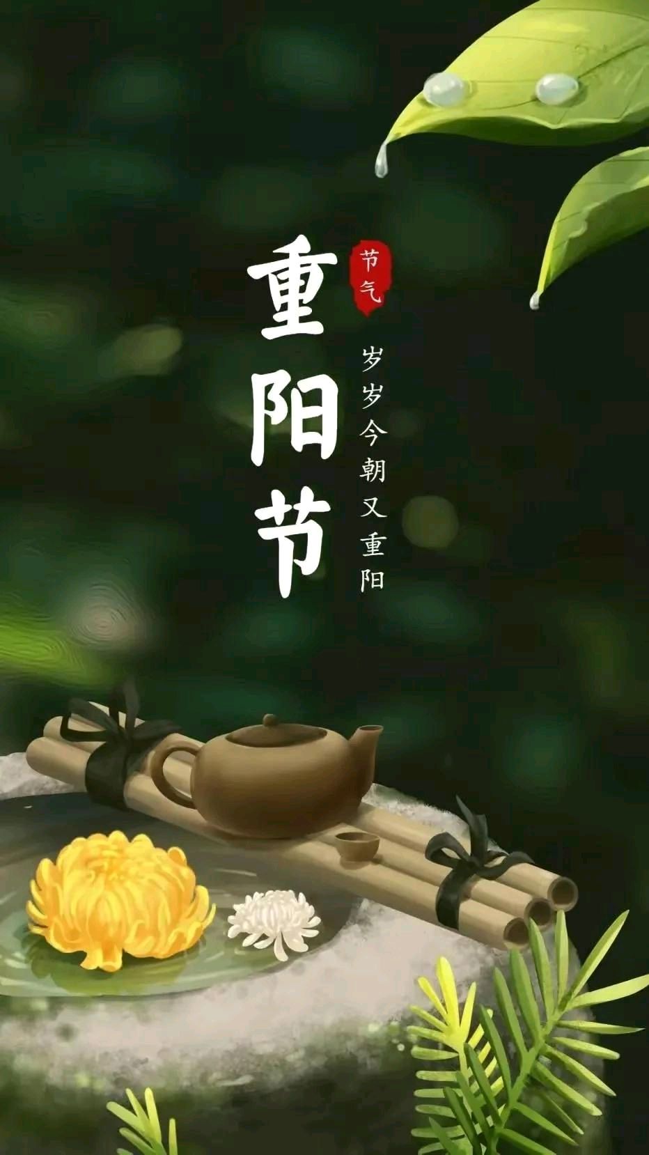 【国学雅韵社】詹家洪诗词欣赏(图9)