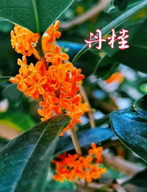 【北京头条】牛在坤诗歌专辑185期(图3)