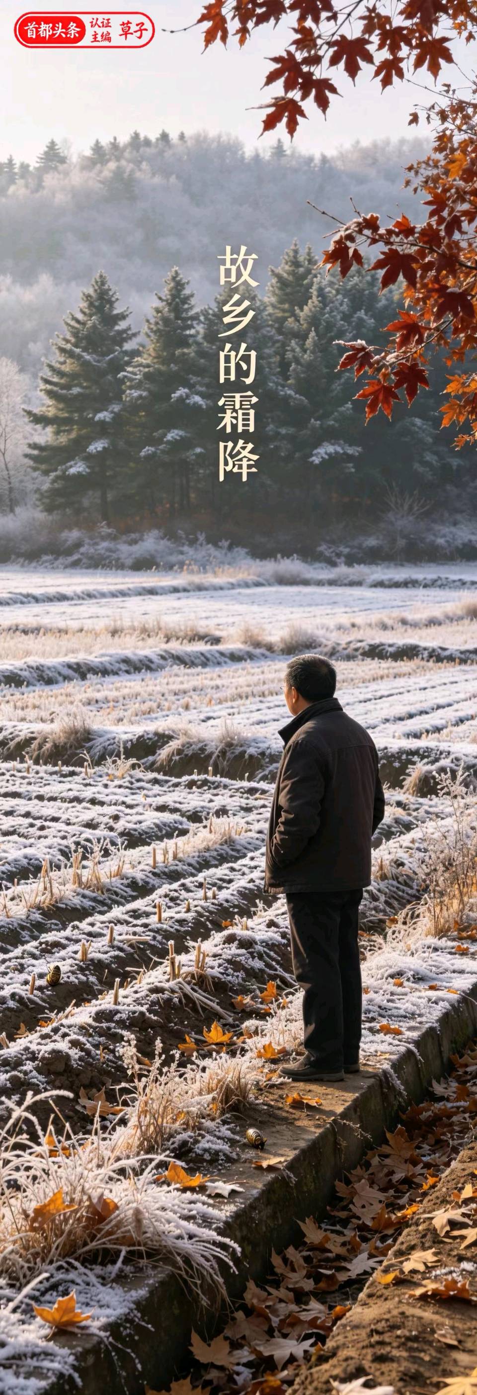 霜降（组合）王金廷（厦门）（图21）