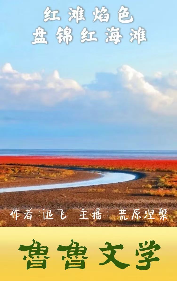 封面 封面