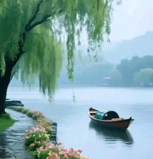 1782天木雨露:自由的真相(图7)
