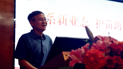 图片5 图片5