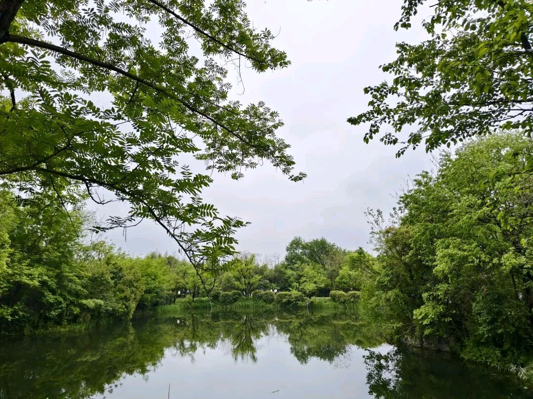 神山秀水游华东七言排律 押侵韵（四）西溪文/苟双进（图3）