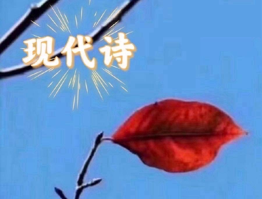 北美翰苑·现代诗 (2026年十月刊)【海外华英】(图2)