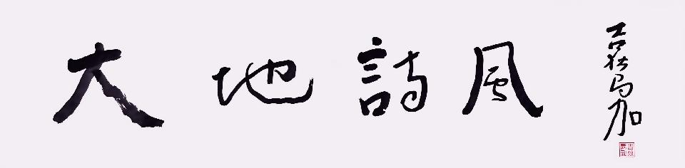 晒,用的风信子颜色 晒,用的风信子颜色