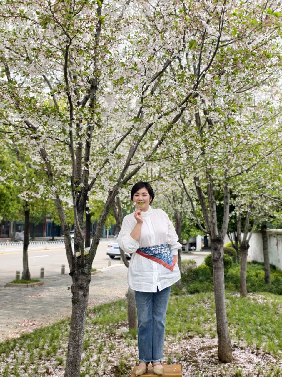 莲的心事 (散文) 戢兰芬(图9)