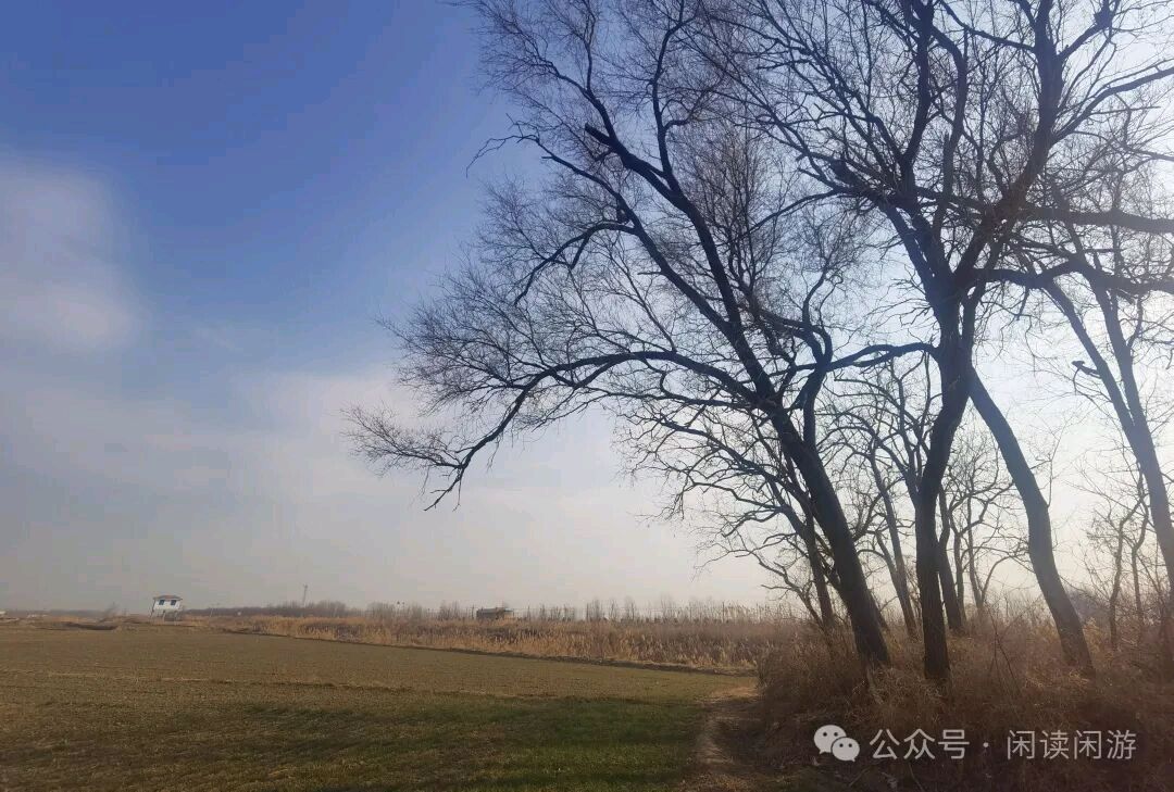石家庄市藁城区诗词协会第131期同题诗：空枝（图11）