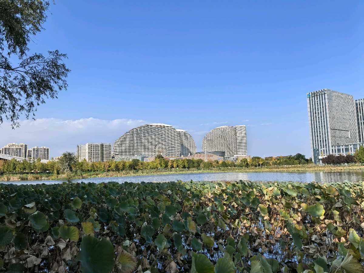 【燕赵文学】散文：两处故土，双重乡愁（河北/游红玉）（图4）
