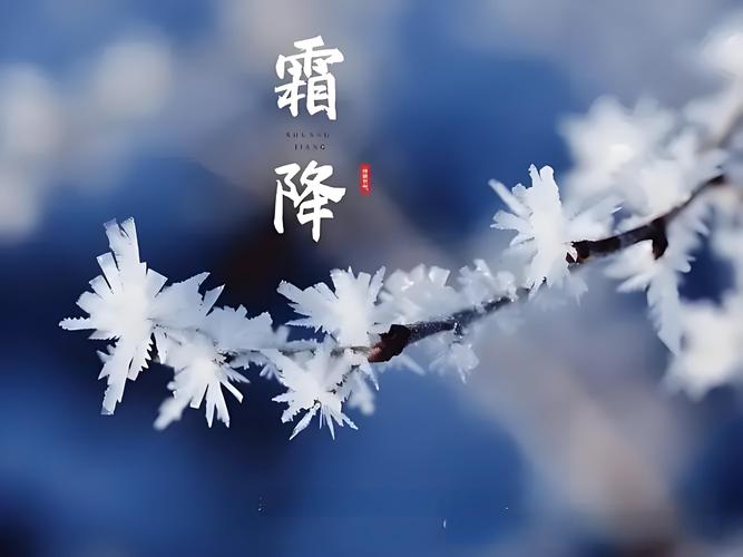 七排律.丙午霜降吟文/杜云燕(图4)