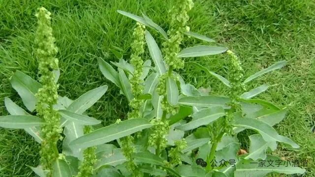 中國地名大會*七绝近体诗赋*浙江省*湖州市*《吴兴区》（图3）