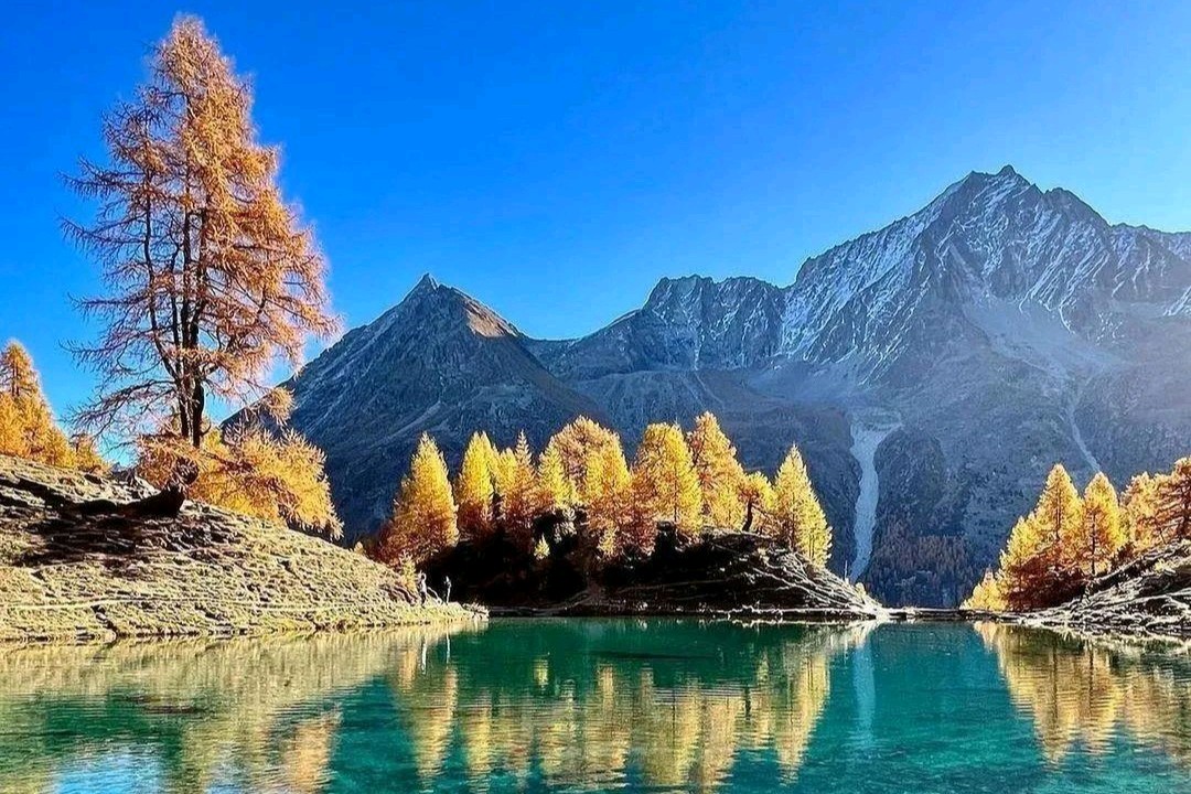《中华好诗词》隆重推出(宁夏)著名诗人马利明先生《水调歌头.咏九寨沟秋景》外十七首请欣赏(图4)