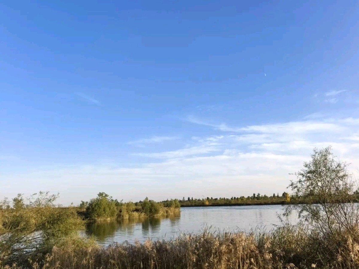 刘锁海近期诗词36首（图6）