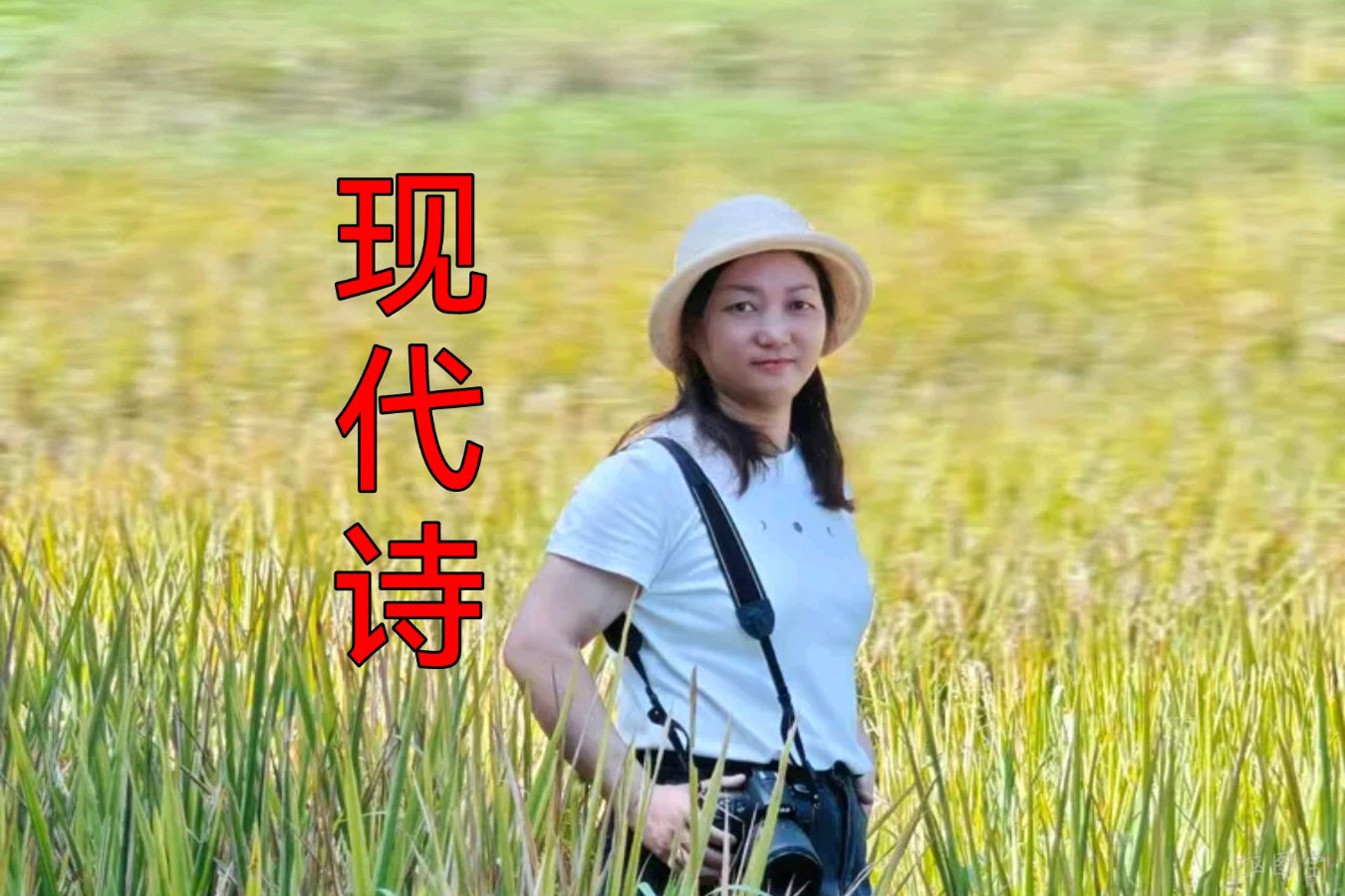 【中国文艺工作者联合会】会刊《百花园地》2026年第50期（总第198期）‖百家合辑诗词作品精选（图12）