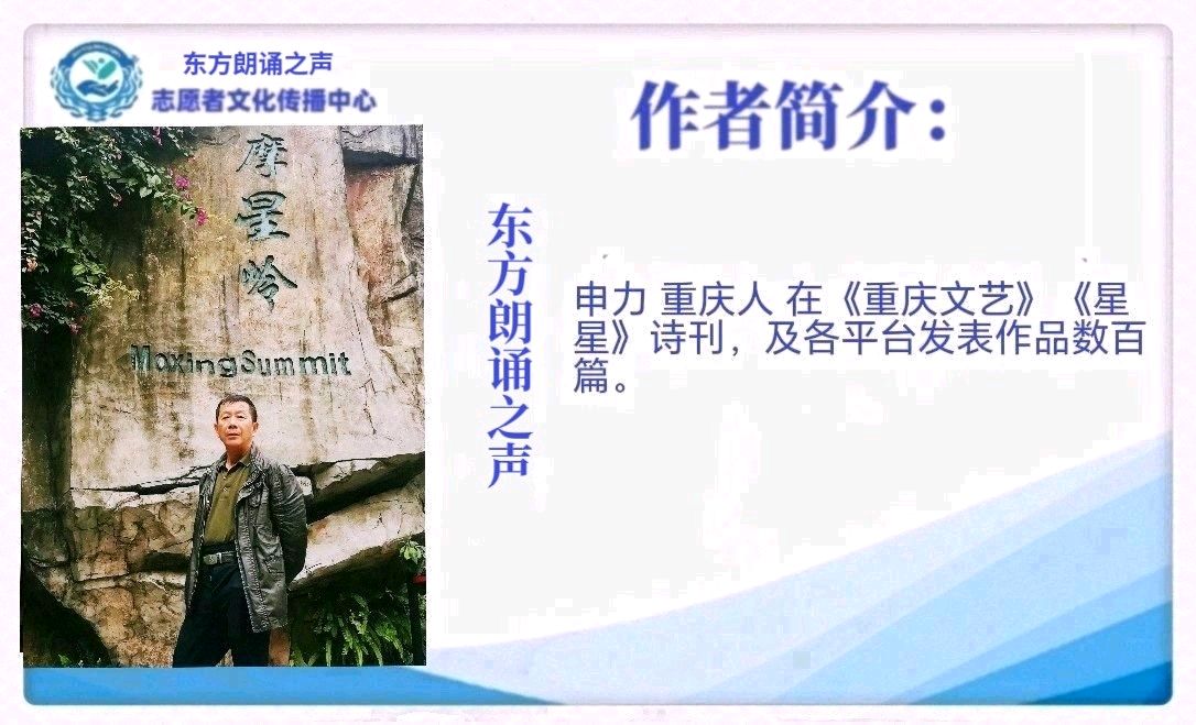 申力《妈妈的那双铁沙掌》诵读:青橄榄树(图6)