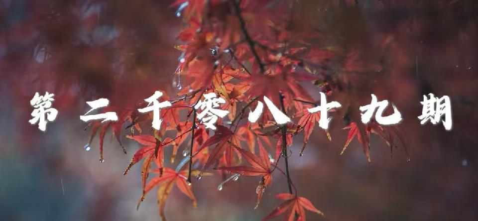 腰封 腰封