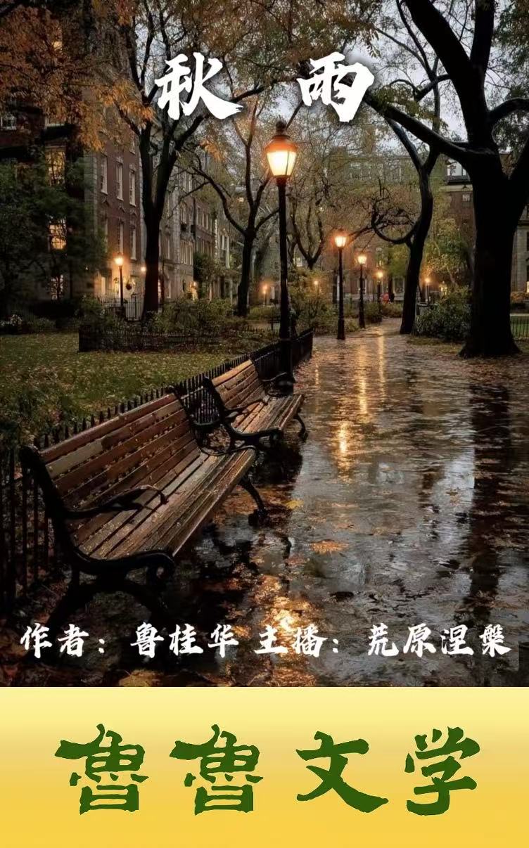 封面 封面