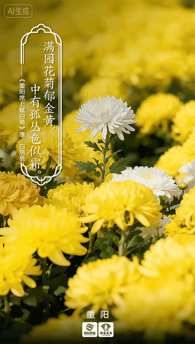 《七律诗十首》实力诗人/尹连荣、金牌主播/凤珠。（图4）