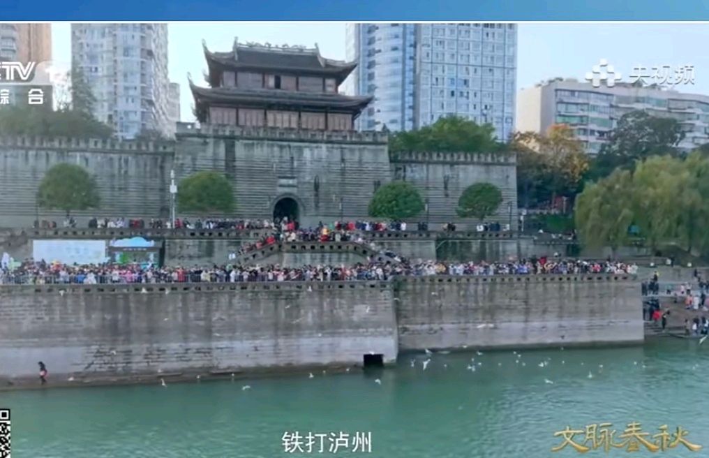 《岭》中夏林夕人物形象与叙事塑造探析‖杨光英(四川泸州)(图20)