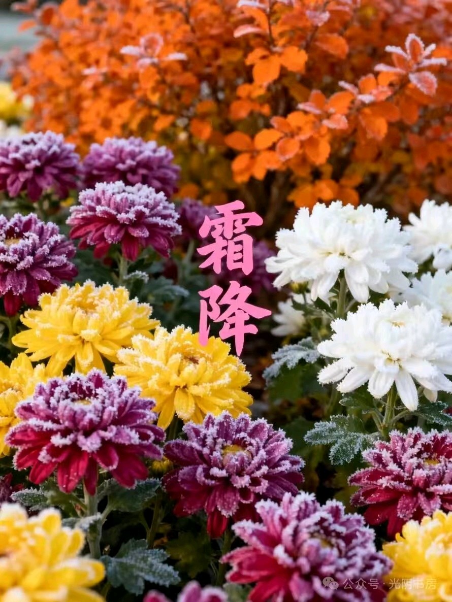 霜降 作者：冯中祥 主播：雪池荷花（图5）