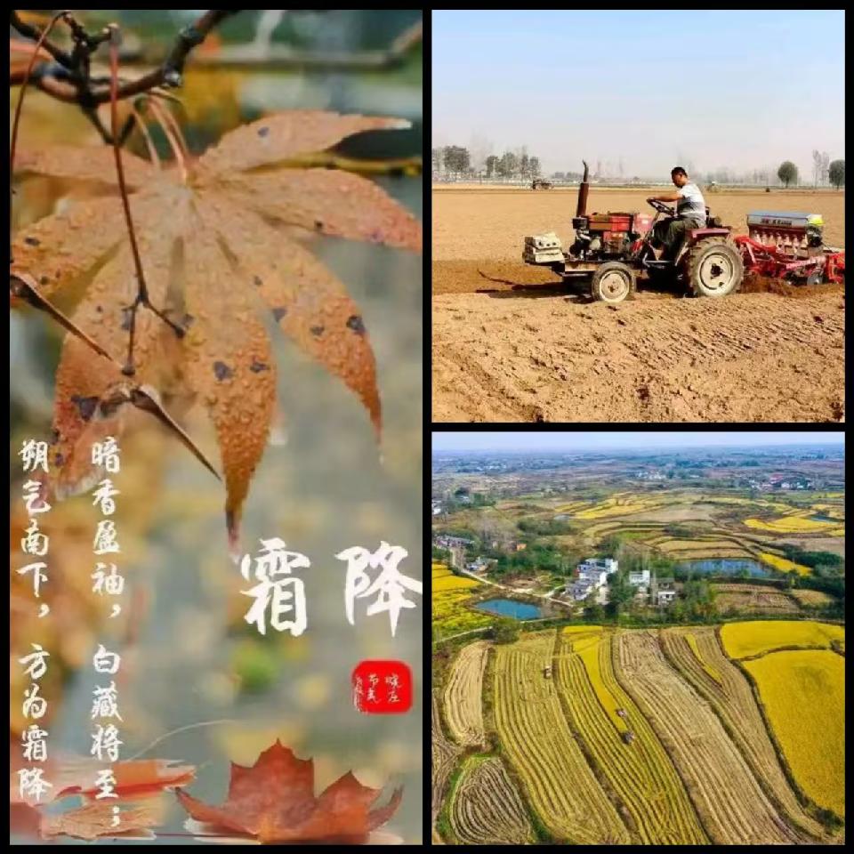 11（供图单发）