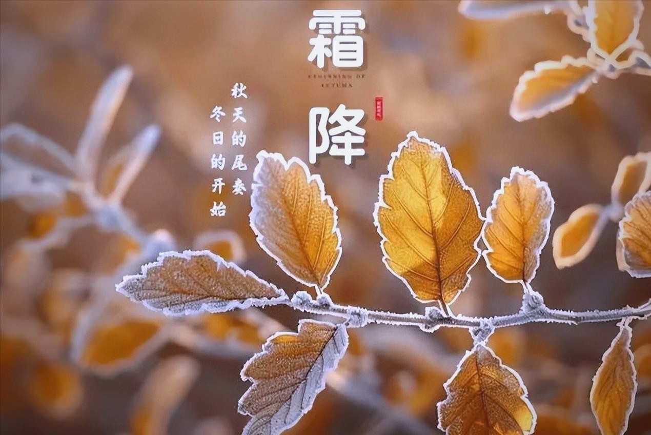 【新诗大观】霜降咏||文/张道发（图3）