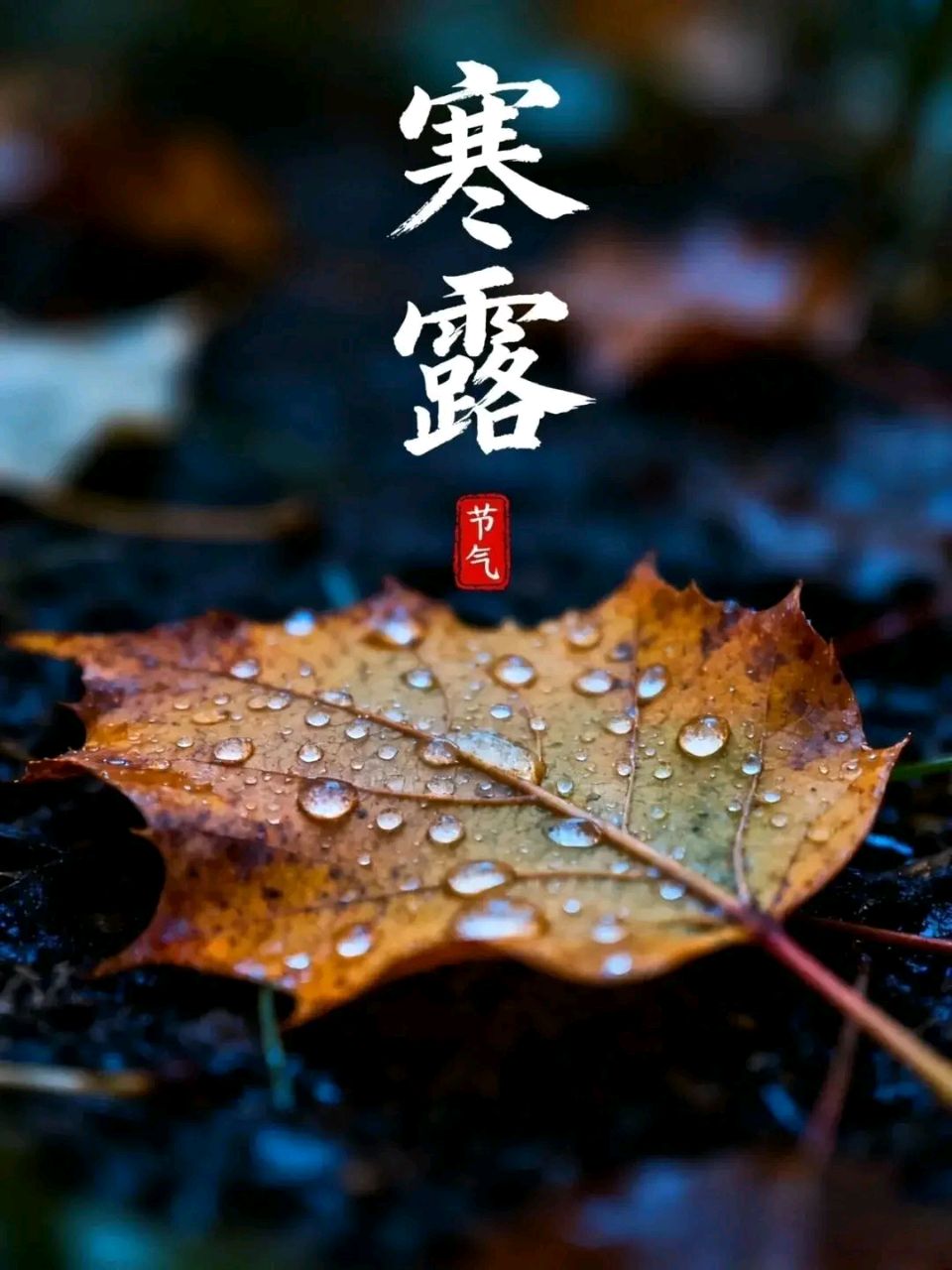 【神州源流诗苑】第1543期优秀近体诗周刊(图4)