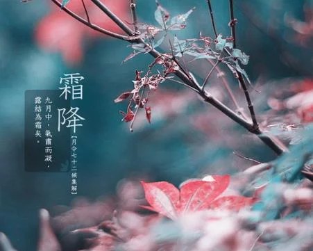 霜降诗韵（图2）