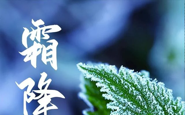 霜降诗韵（图5）