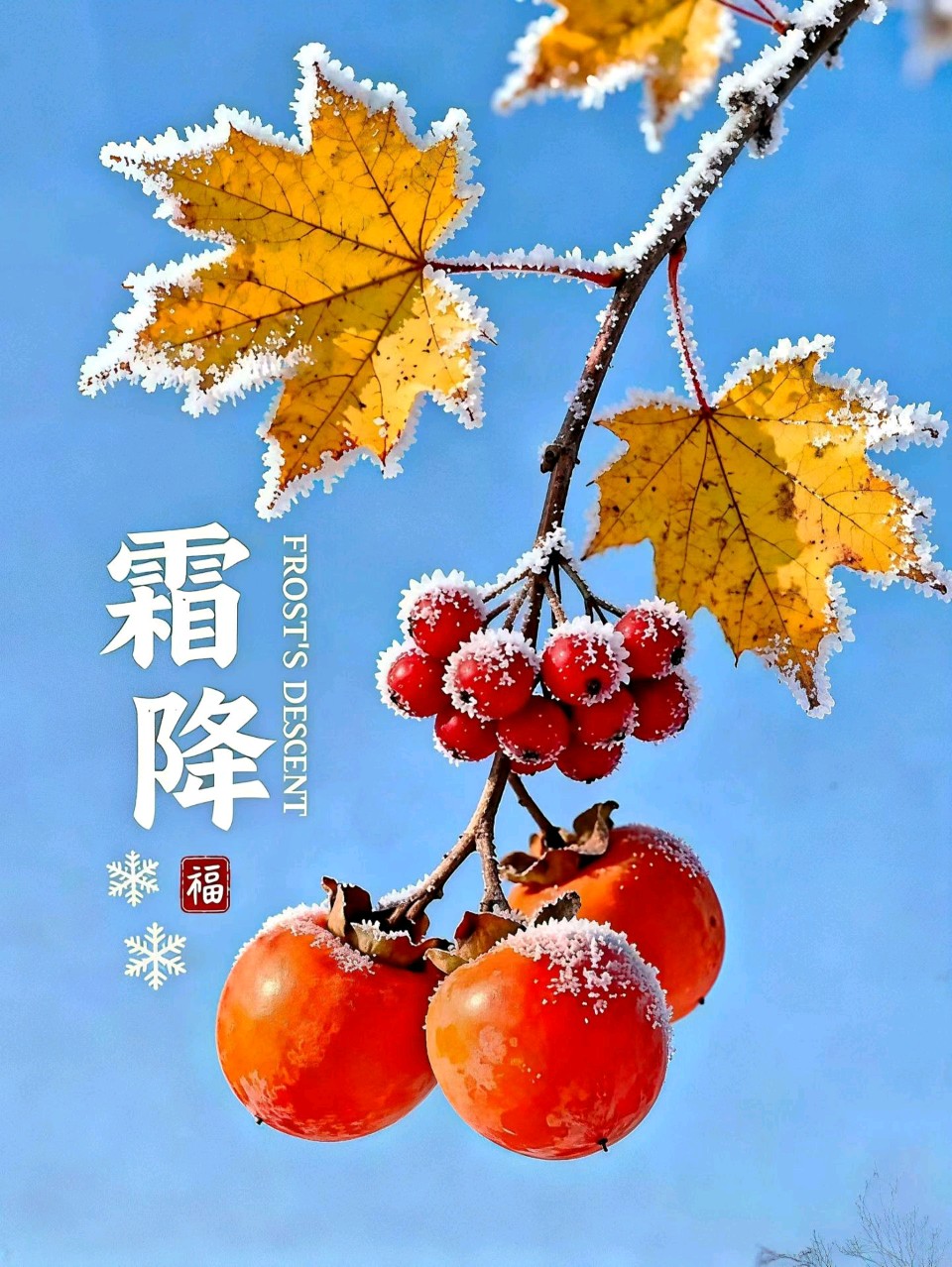 霜降诗韵（图7）