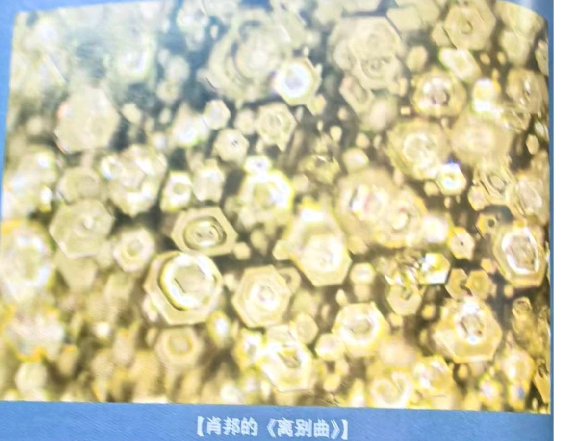 水，能听懂人类语言吗？（图6）