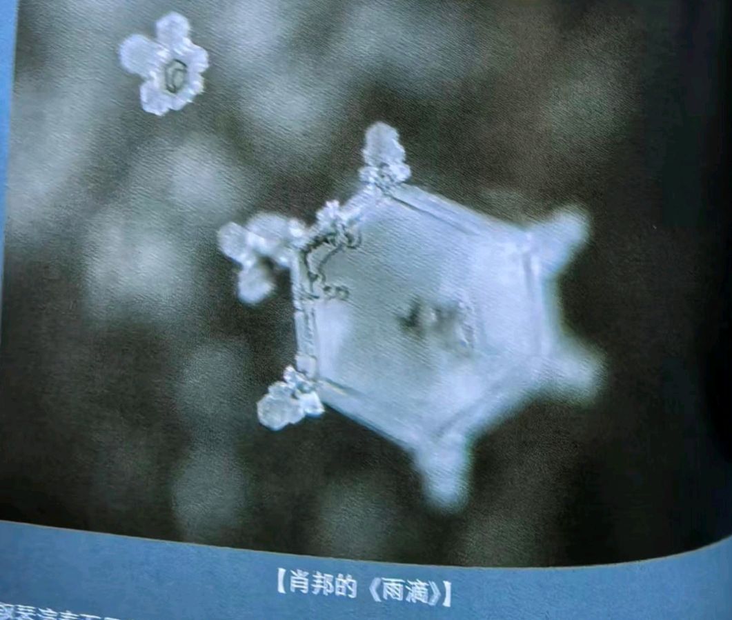 水，能听懂人类语言吗？（图7）