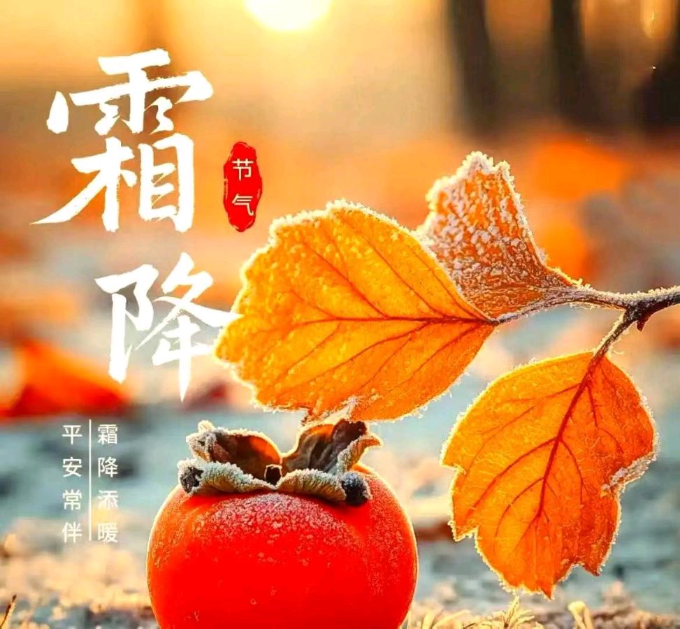 《九江文学社:北京头条》丙午霜降节气专刊