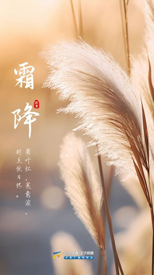 霜降||巴彦诗协【1256】（图3）